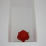 La Mia Ceglie Messapica
